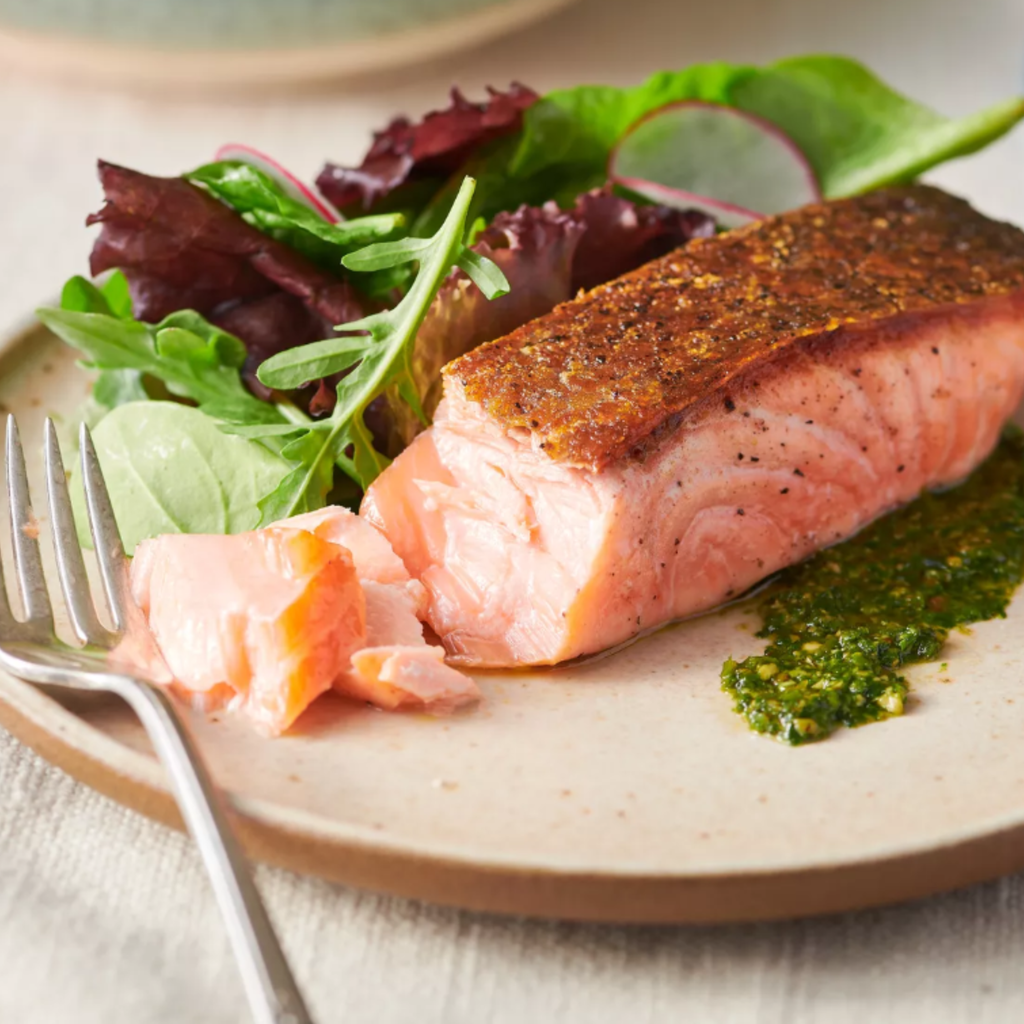 Canadian King salmon fillet single portion close-up