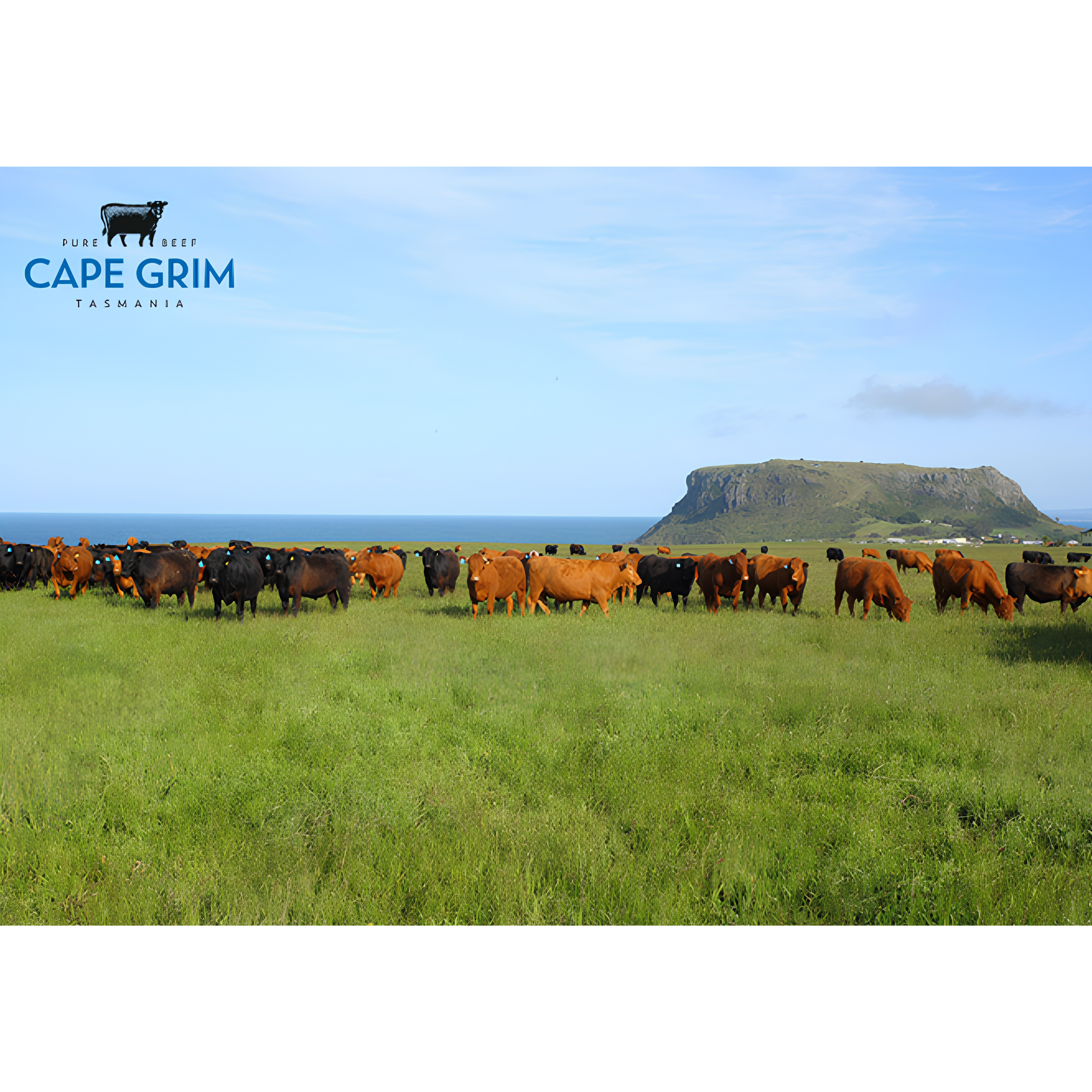 Australian Cape Grim Grass Fed  Rump Steak (Frozen)